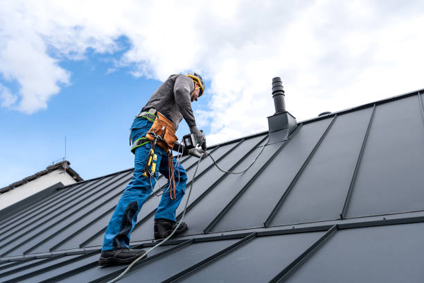 Best Roof Maintenance and Cleaning  in USA